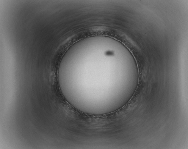 X0000111950821200908101220