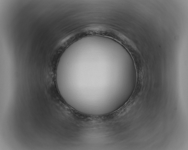 X0000111950822200908101220
