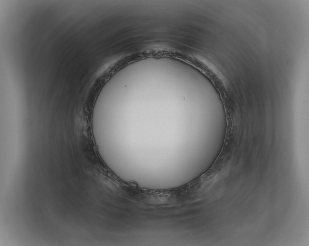 X0000111950823200908101220