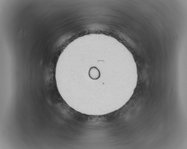 X0000111950824200908101220