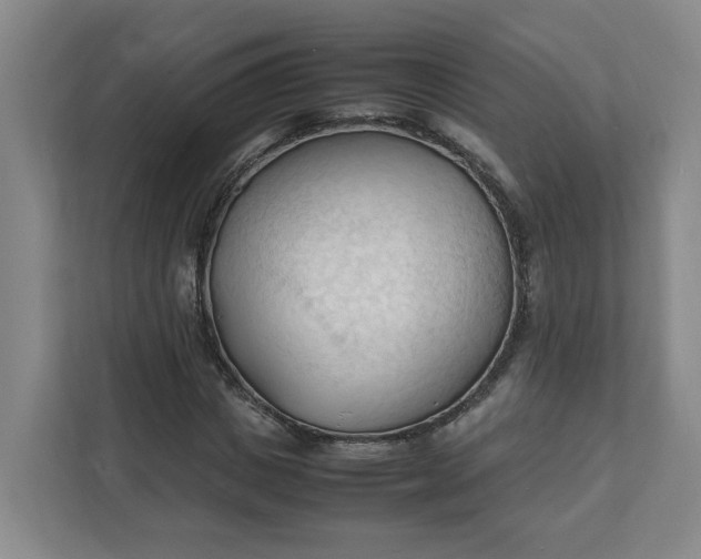 X0000111950825200908101220