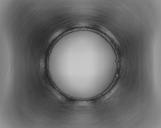 X0000111950826200908101220