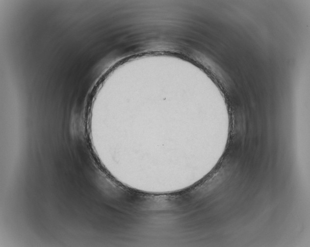 X0000111950828200908101220