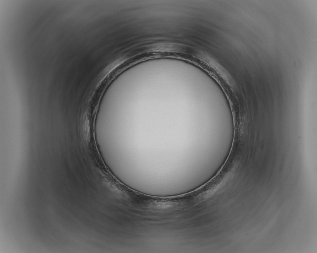 X0000111950829200908101220