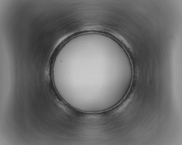 X0000111950830200908101220