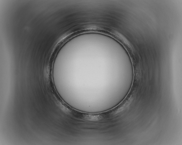 X0000111950831200908101220