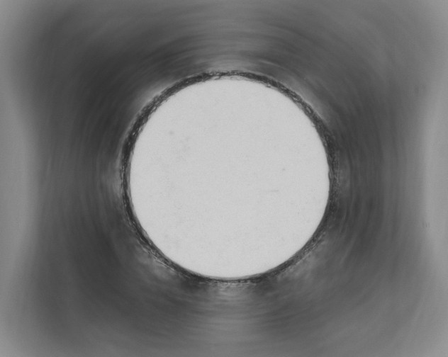 X0000111950832200908101220