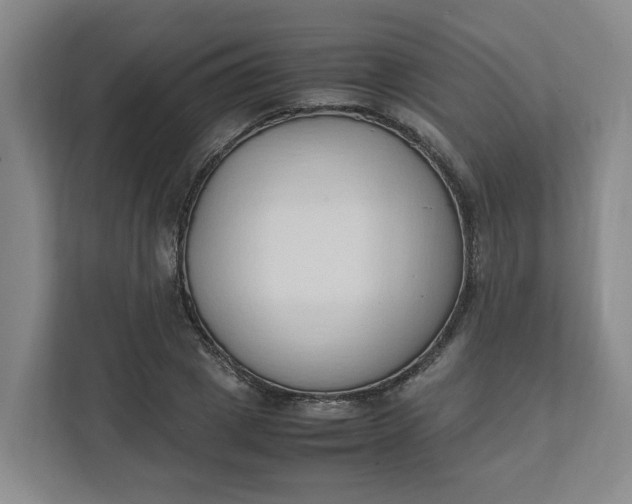 X0000111950833200908101220