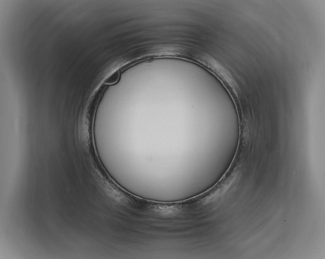 X0000111950835200908101220