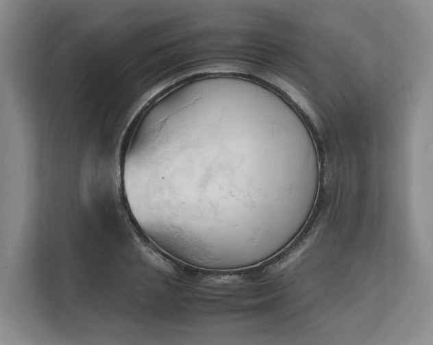 X0000111950837200908101221