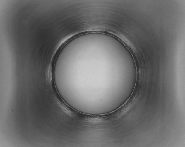 X0000111950838200908101221