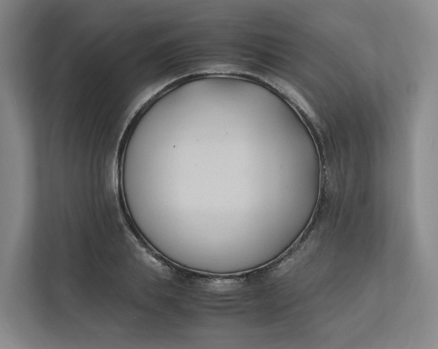 X0000111950839200908101221