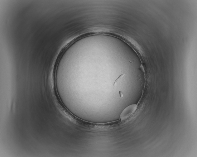 X0000111950840200908101221