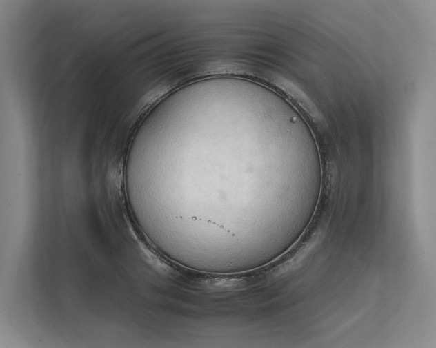 X0000111950841200908101221