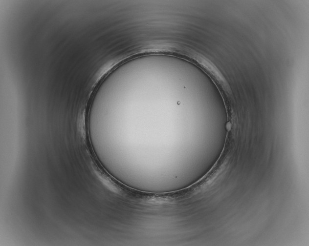 X0000111950842200908101221