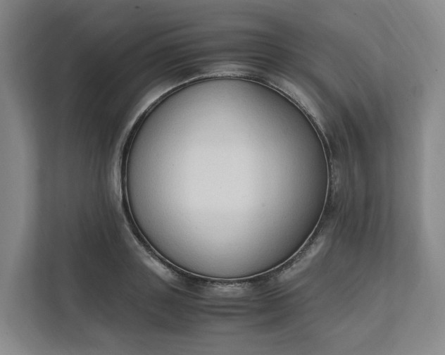 X0000111950843200908101221
