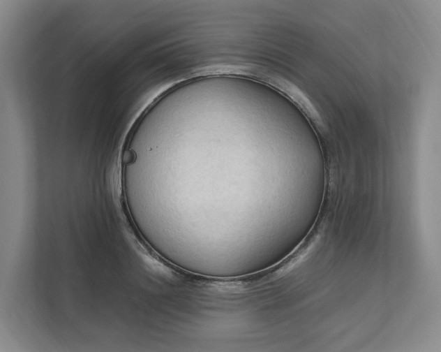 X0000111950844200908101221