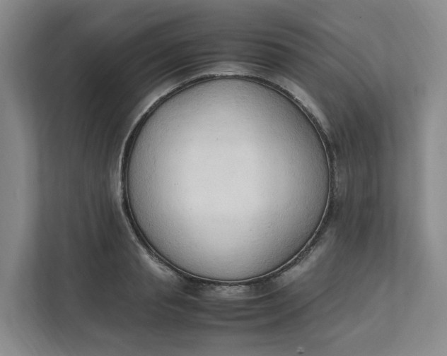X0000111950845200908101221