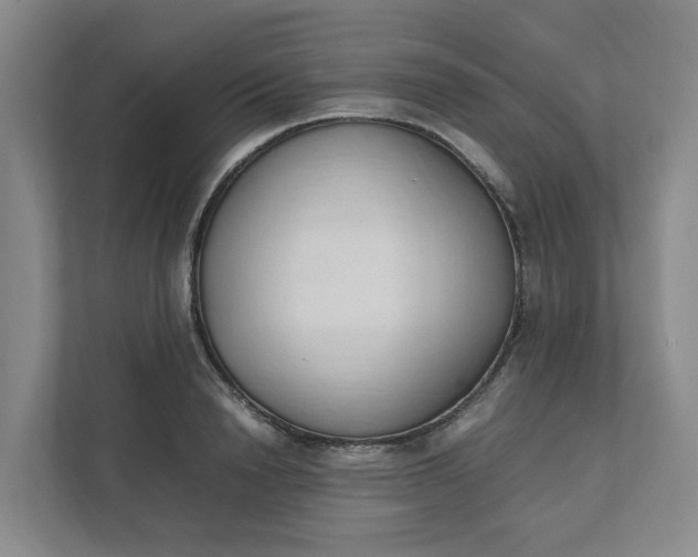 X0000111950846200908101221