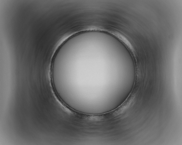 X0000111950847200908101221