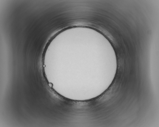 X0000111950848200908101221