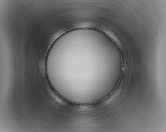 X0000111950850200908101221