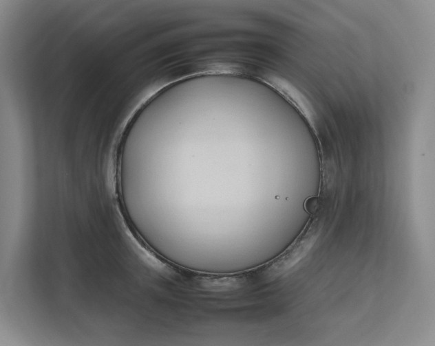 X0000111950851200908101221