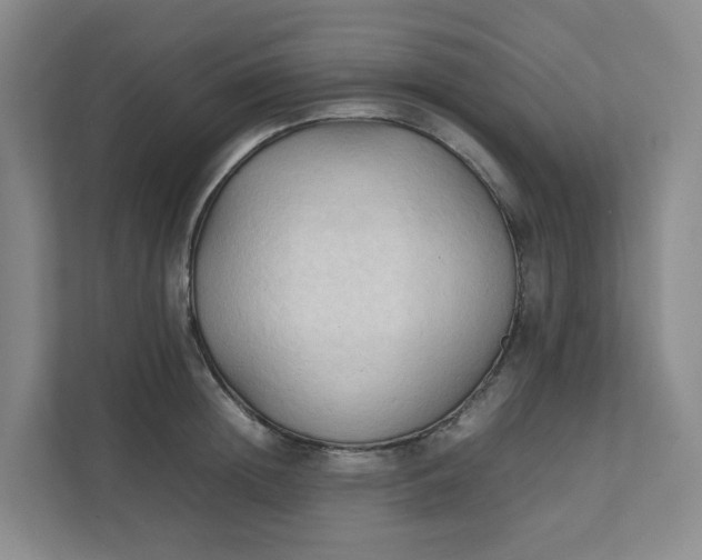 X0000111950852200908101221