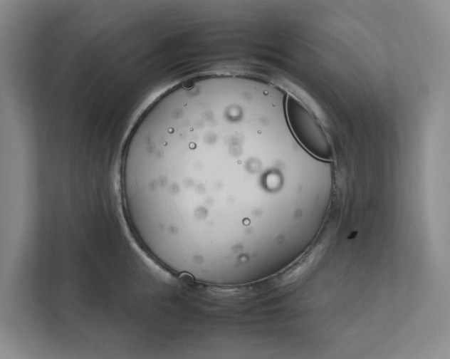X0000111950855200908101221