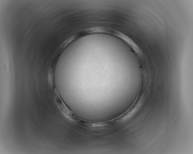 X0000111950857200908101221