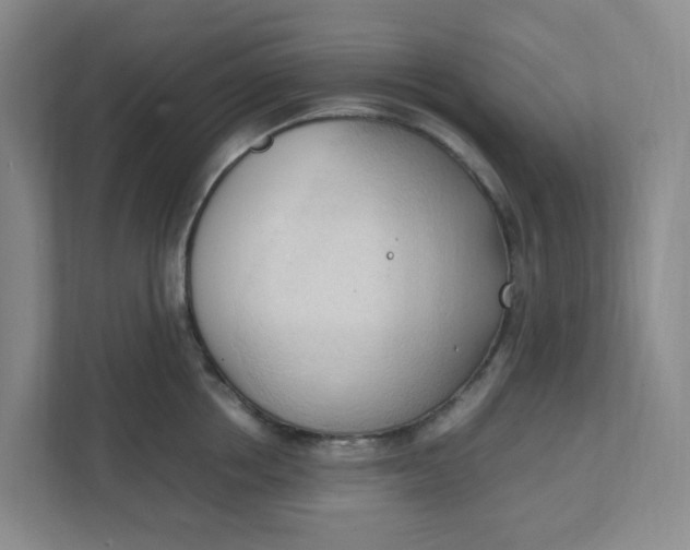 X0000111950858200908101221