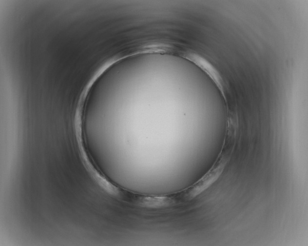 X0000111950859200908101221