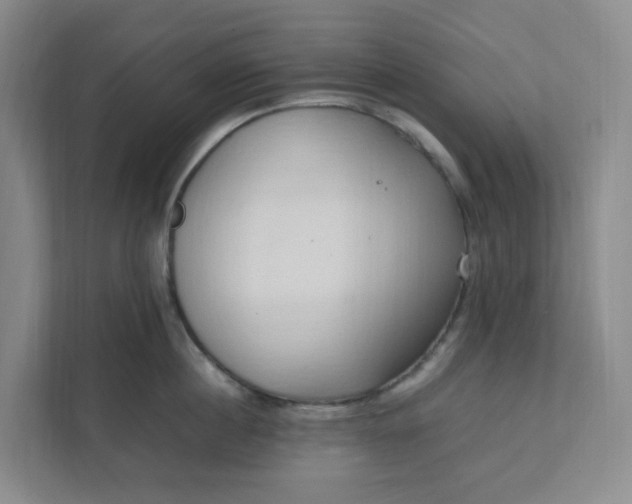 X0000111950860200908101221