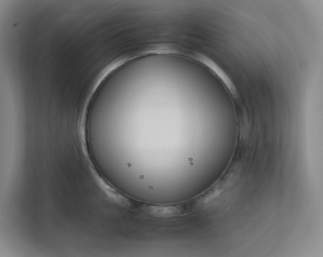 X0000111950861200908101221