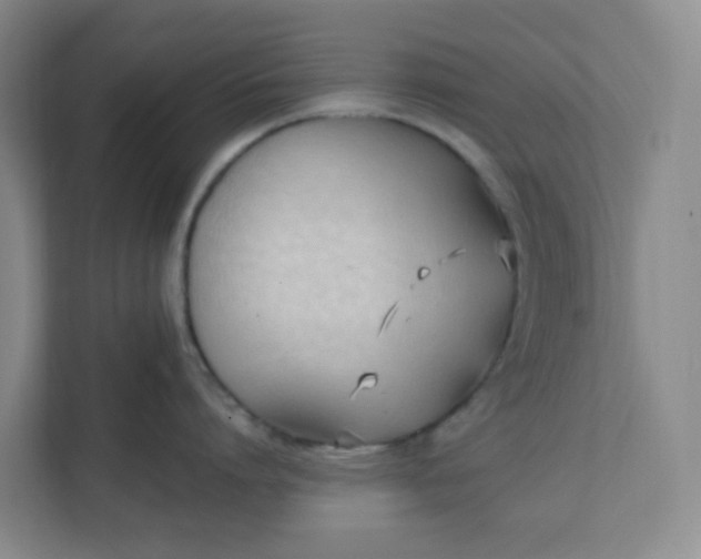 X0000111950864200908101221