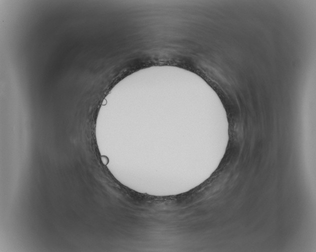 X0000111950865200908101220