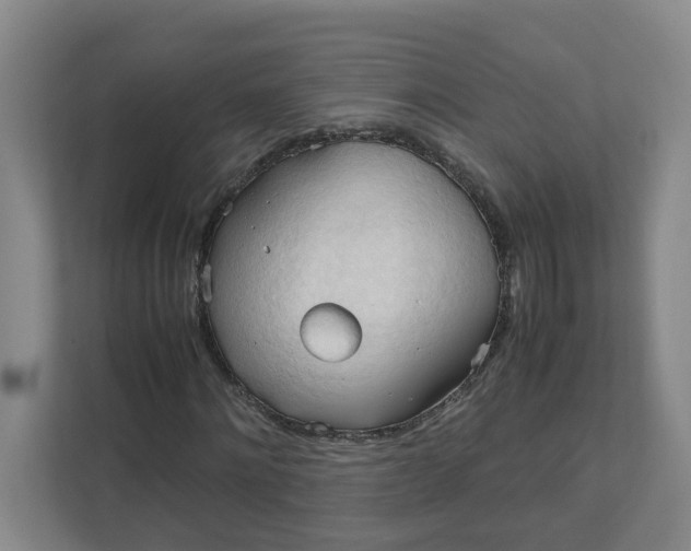 X0000111950868200908101220