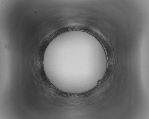 X0000111950869200908101220