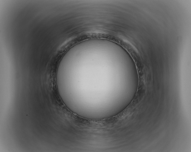 X0000111950870200908101220