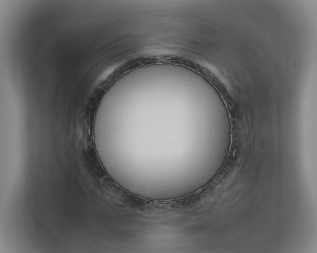 X0000111950871200908101220