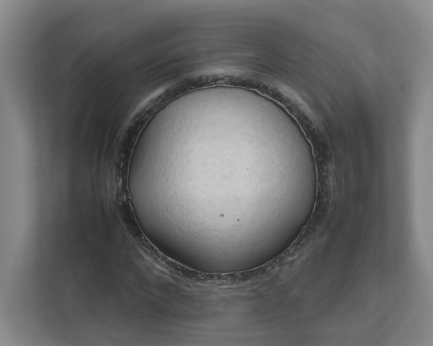 X0000111950872200908101220