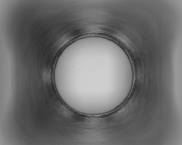 X0000111950873200908101220