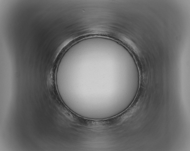 X0000111950875200908101220