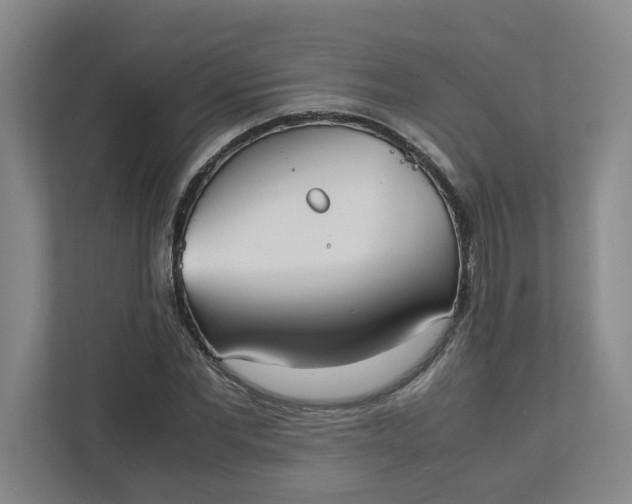 X0000111950877200908101220