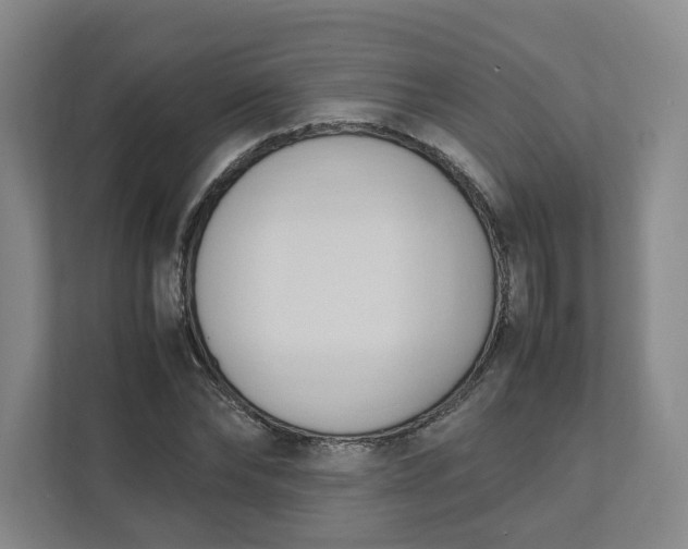 X0000111950878200908101220