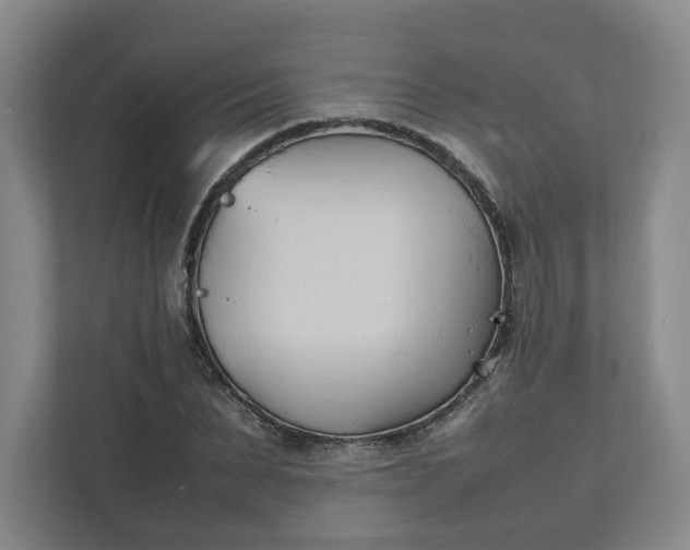 X0000111950879200908101220