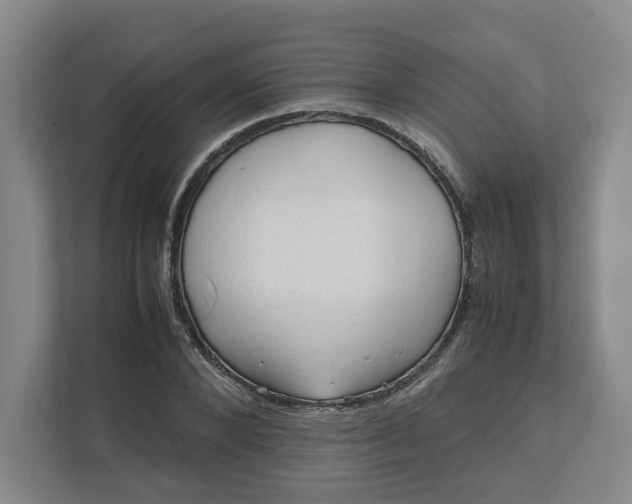 X0000111950880200908101220