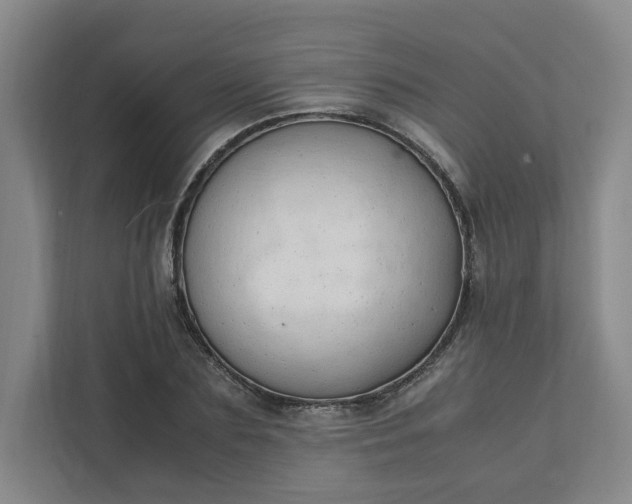 X0000111950883200908101220