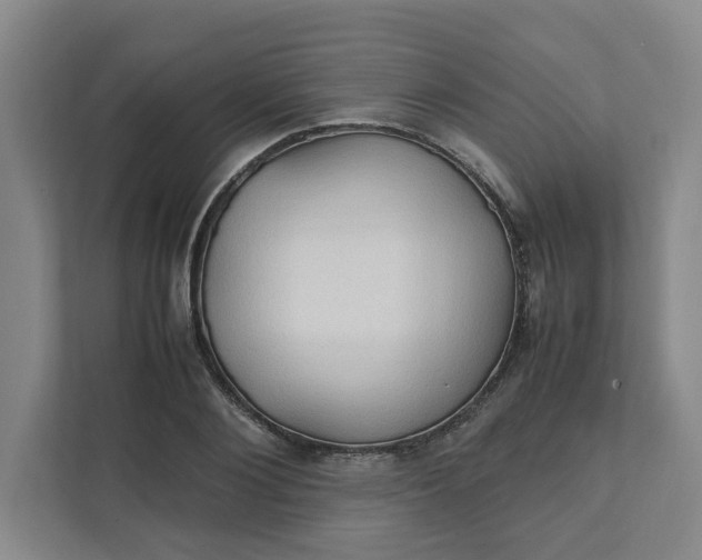 X0000111950884200908101220
