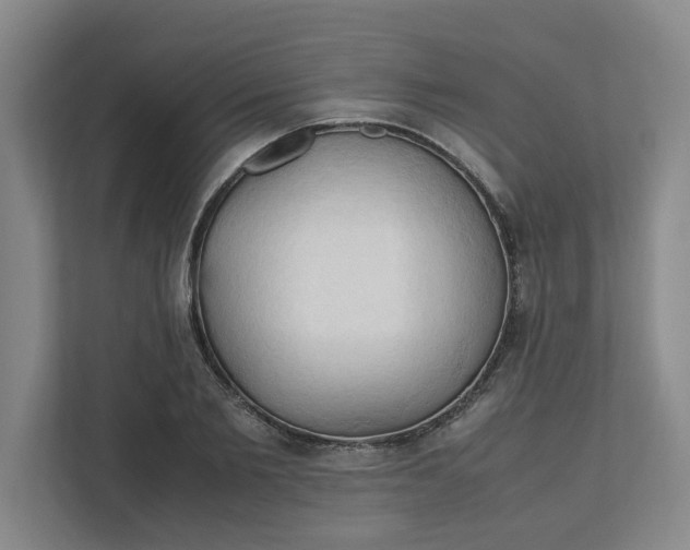 X0000111950885200908101220